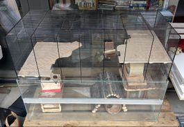 Skyline Nagarium Falco 100