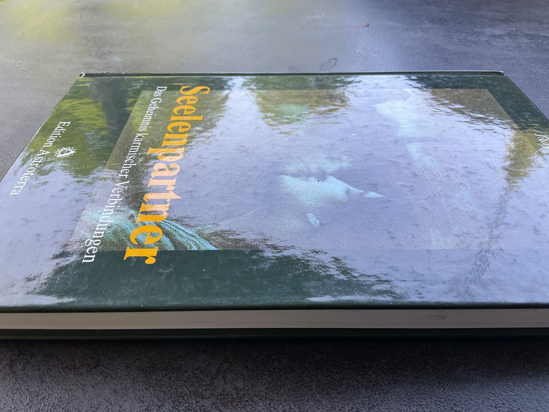 Libri: "Seelenpartner" Judy Hall - Astroterra – Usato da Avenches venduto da Lactobacille 2