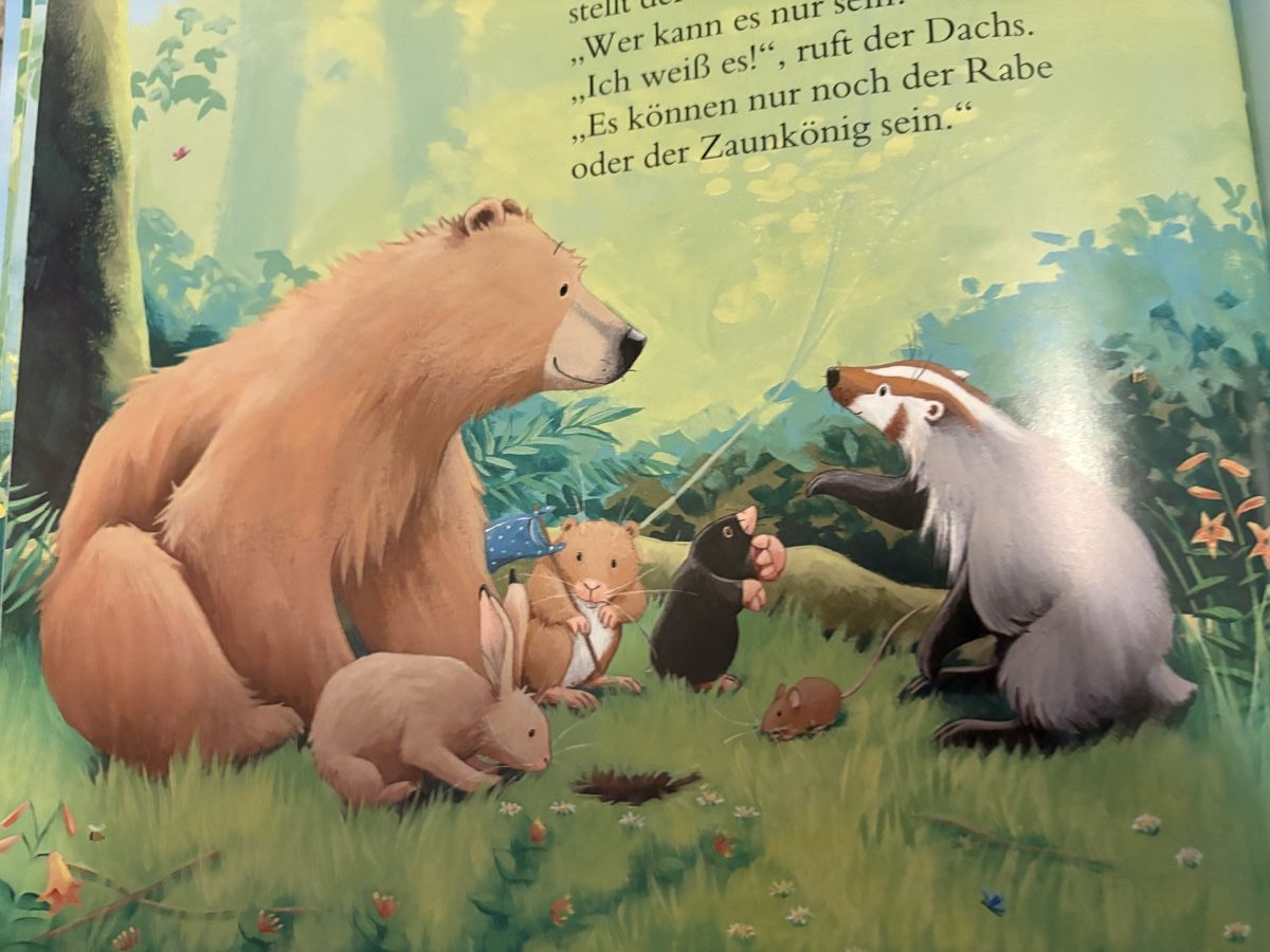 Libri: Kinderbüchern 2er SET – Usato da Herzogenbuchsee venduto da warrior77 5
