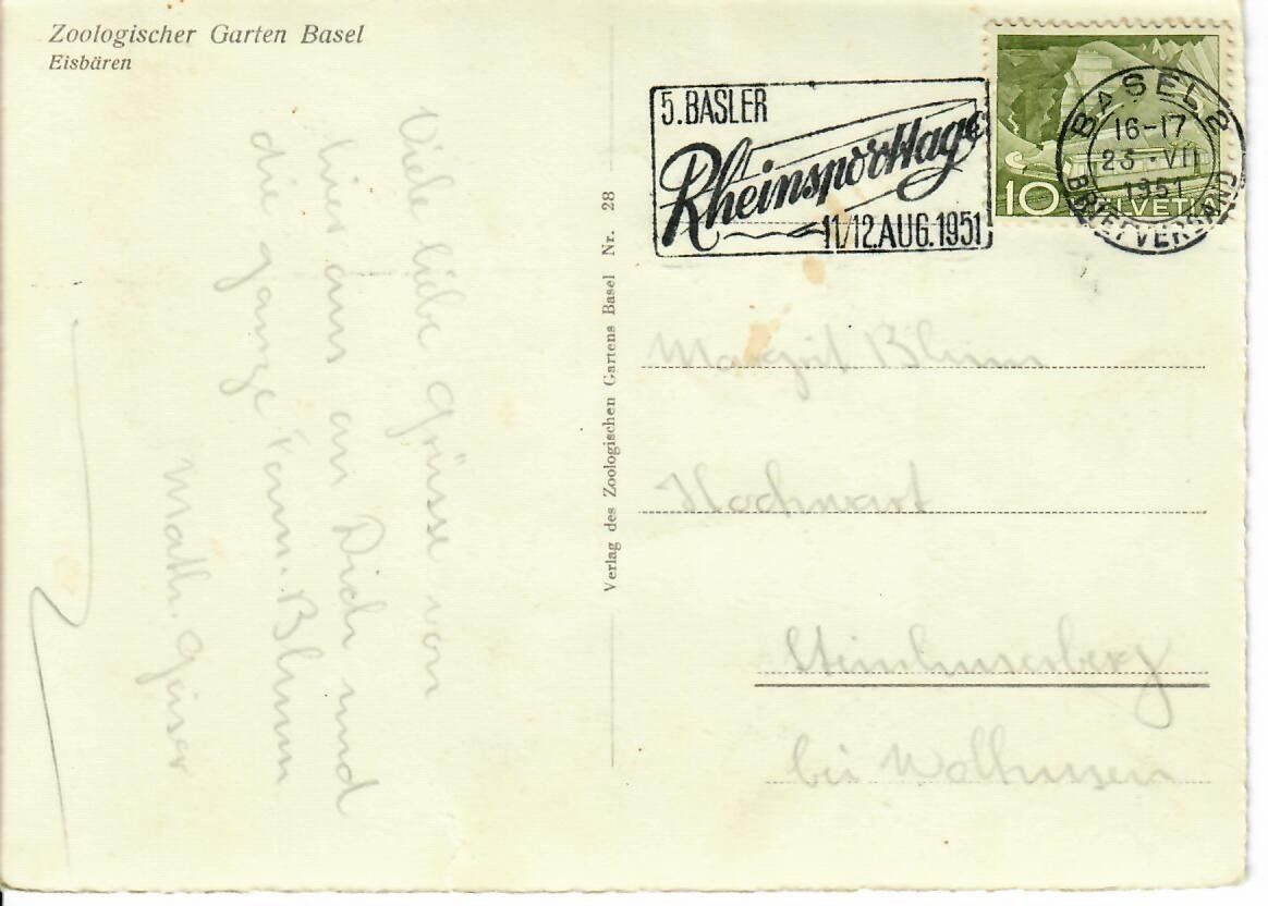 Cartoline postali: Zoo Basel Eisbären 1951 – Usato da Hochdorf venduto da Ziegel-16 1