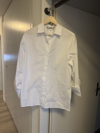 S'MaxMara Bluse,Baumwolle, Top Zustand!