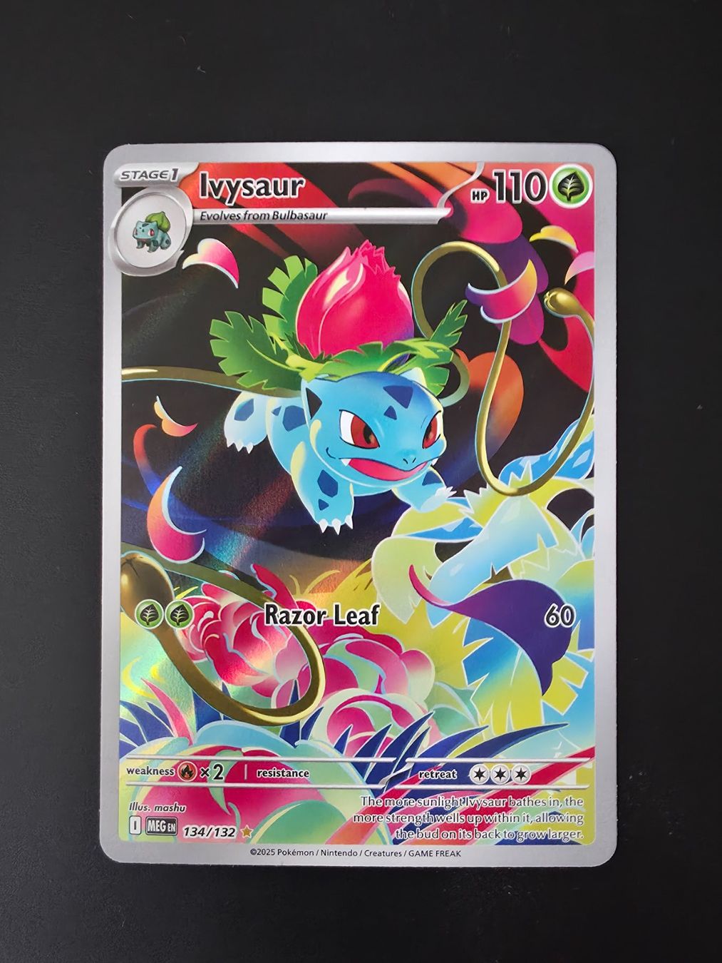 Pokémon Carte collezionabili: Ivysaur (MEG 134) - Pokémon – Usato da Zürich venduto da Semagets