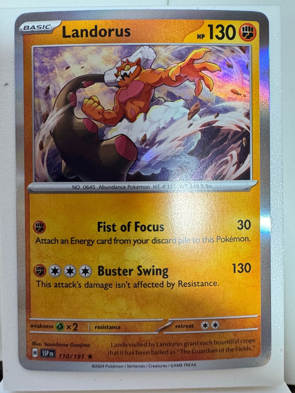 Pokémon Carte collezionabili: Landorus | 110/191 | Pokémon TCG | Englisch – Nuovo (secondo la descrizione) da Bassersdorf venduto da ero_9zp9