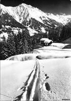 Klosters GR // Ski Tiefschnee Aelpelti