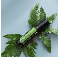 doTERRA Tea Tree / Teebaum (Melaleuca) Touch / 10ml / NEU!