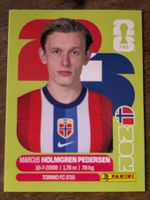 Panini WM 2026 - NOR 6 Sticker - ⚽️