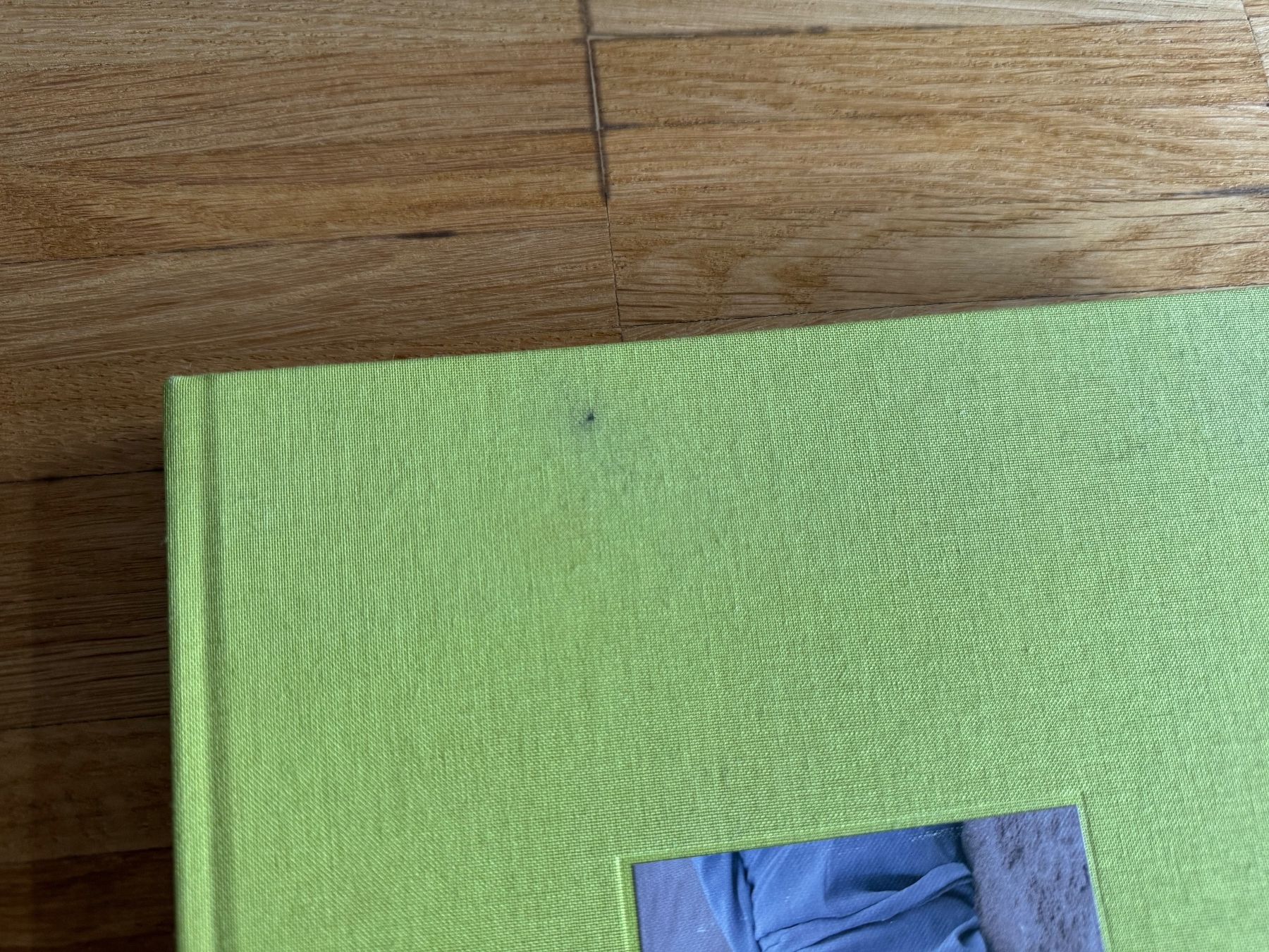 Bücher: Paloma Wool 16-17 Book – Gebraucht aus Fribourg von mariedw 2