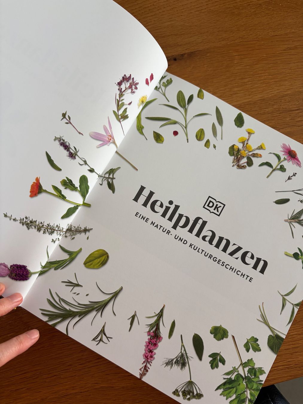 Libri: Buch - Heilpflanzen neu – Nuovo (secondo la descrizione) da Baar venduto da Colette18 1
