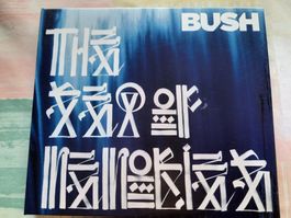 Cd Bush - The Sea of Memories