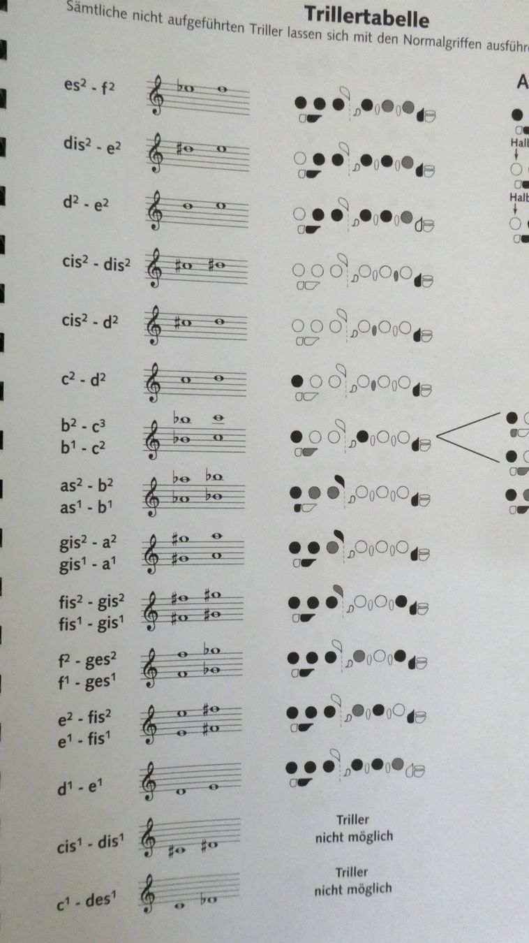Libri: Das Querflötenbuch 2 - von klassisch bis modern – Nuovo (secondo la descrizione) da Wettingen venduto da papageno48 4