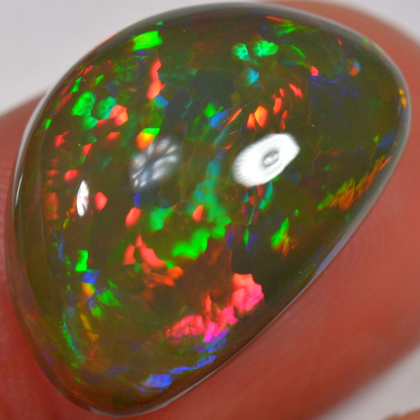 Pietre preziose: 14.4 Karat - Äthiopischer Welo Opal – Nuovo (secondo la descrizione) da Rüti ZH venduto da DeinOpal 3