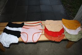 Damen Slips, diverse Farben und Grössen, neuwertig! gr S