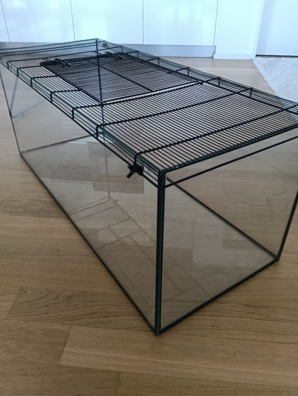 Terrario: Glass Terrarium/Tier stall  – Usato da Ebikon venduto da Georgi95 2