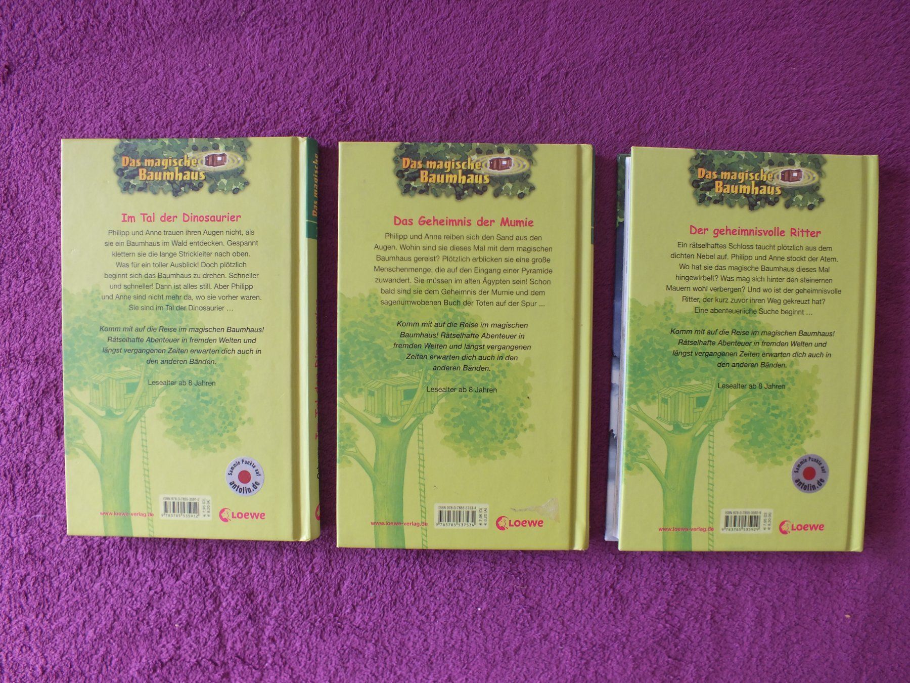 Bücher: Das magische Baumhaus 3er Bücher Set – Gebraucht aus Müllheim Dorf von Seeeule01 1