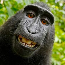 Profile image of Vato_007