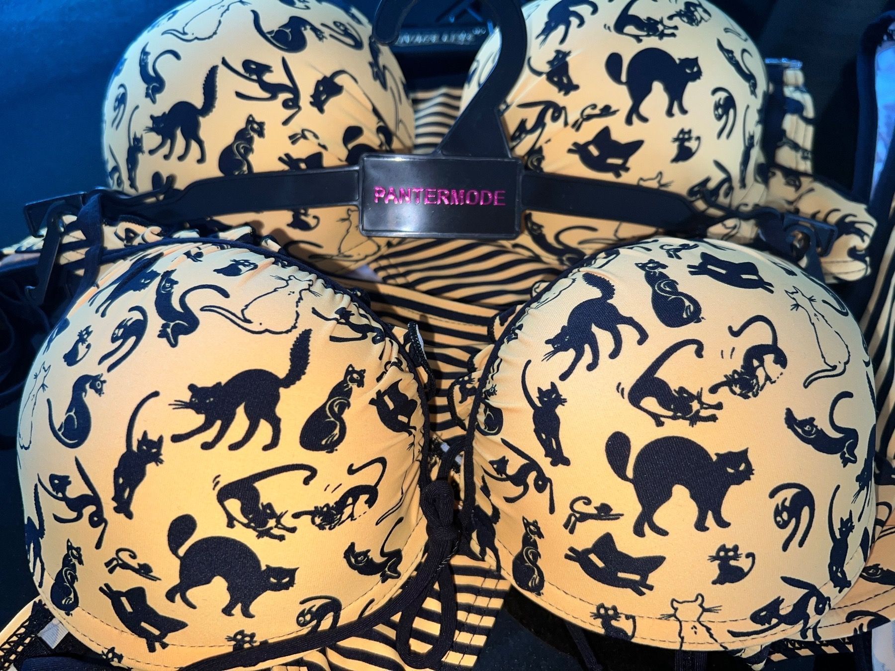 Costumi da bagno & Bikini: Bikini Push Up/ Größe M/ L – Nuovo e nell'imballaggio originale da Zumikon venduto da DamenFashionShop 1