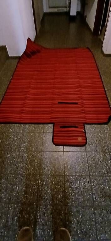Coperte: Picknick Decke  – Usato da Grenchen venduto da Hamstr 1