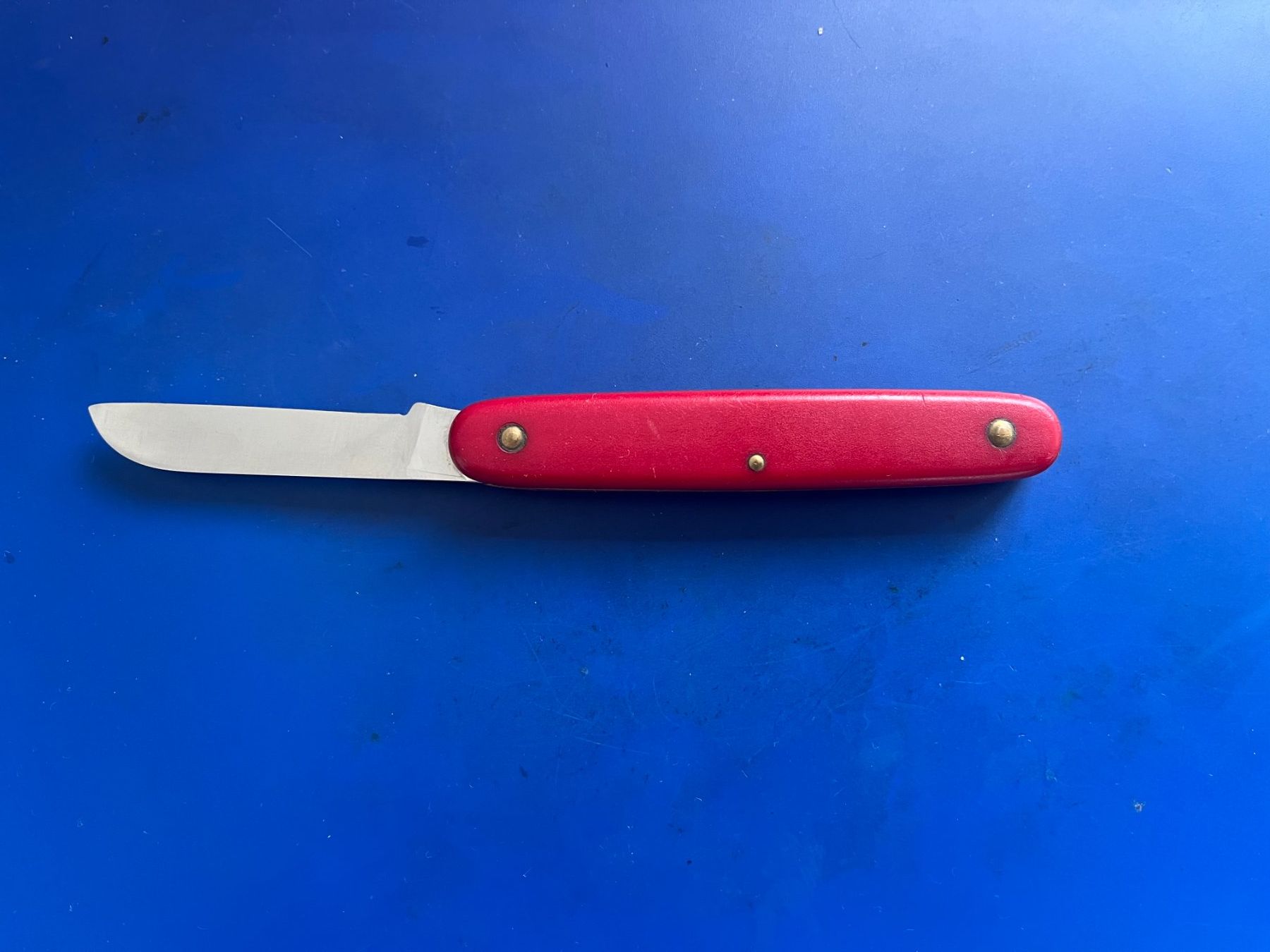 Victorinox Coltelli tascabile: Victorinox Blumen-Messer ungebrauchte Klinge – Usato da Dintikon venduto da Redgar58 1