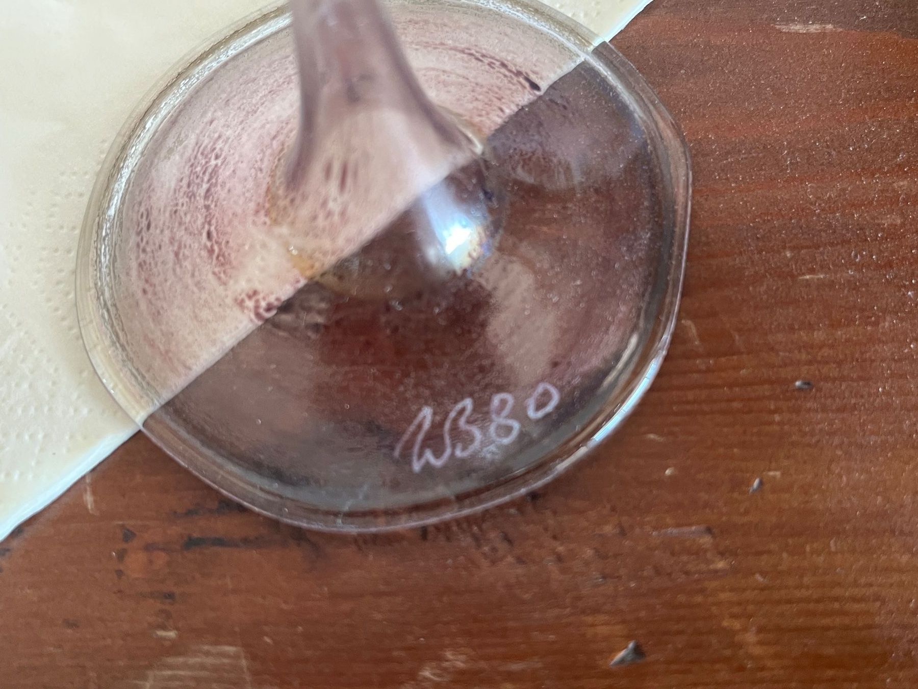 Bicchieri: 2 edle Glas Pokale, signiert – Usato da Stetten AG venduto da Brissago25 5