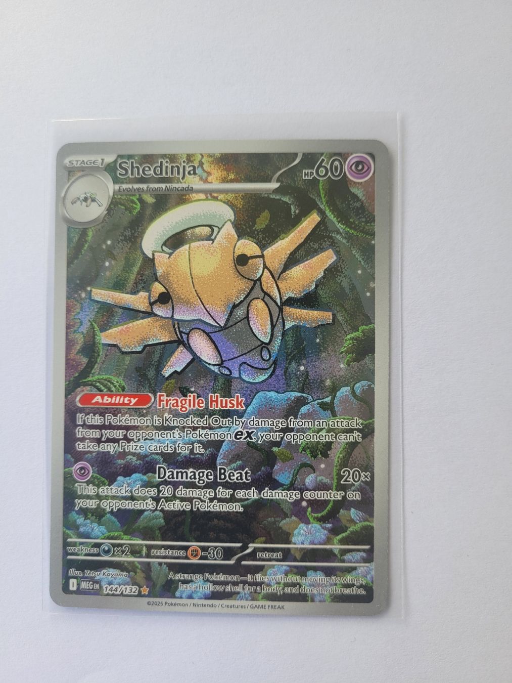Pokémon Carte collezionabili: Pokémon Shedinja EN – Nuovo (secondo la descrizione) da Brunnen venduto da Schlumpf018
