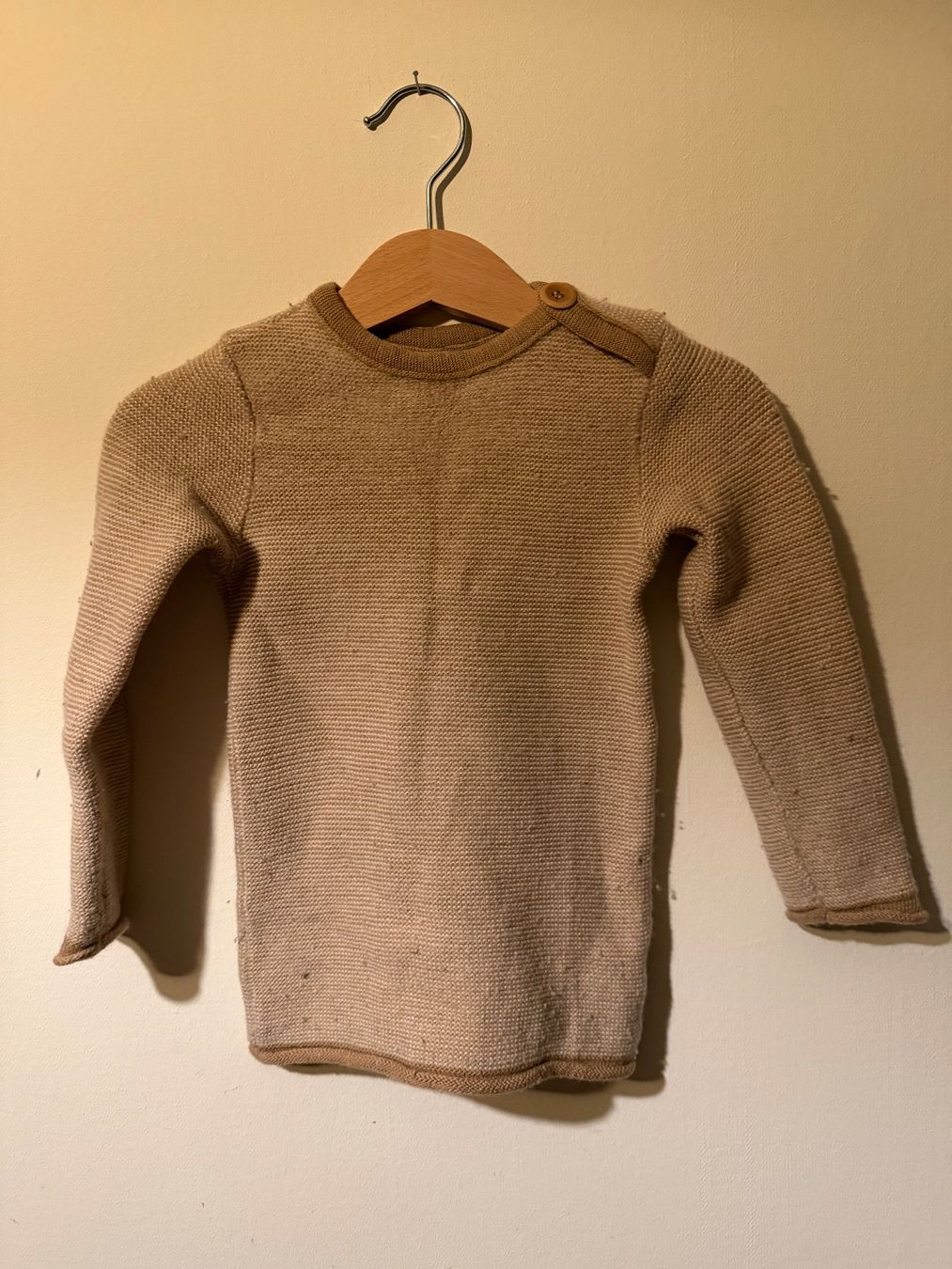 Disana Maglioni & Felpe: Disana Pullover 86/92 100% Wolle – Usato da Liestal venduto da sei_j5yn