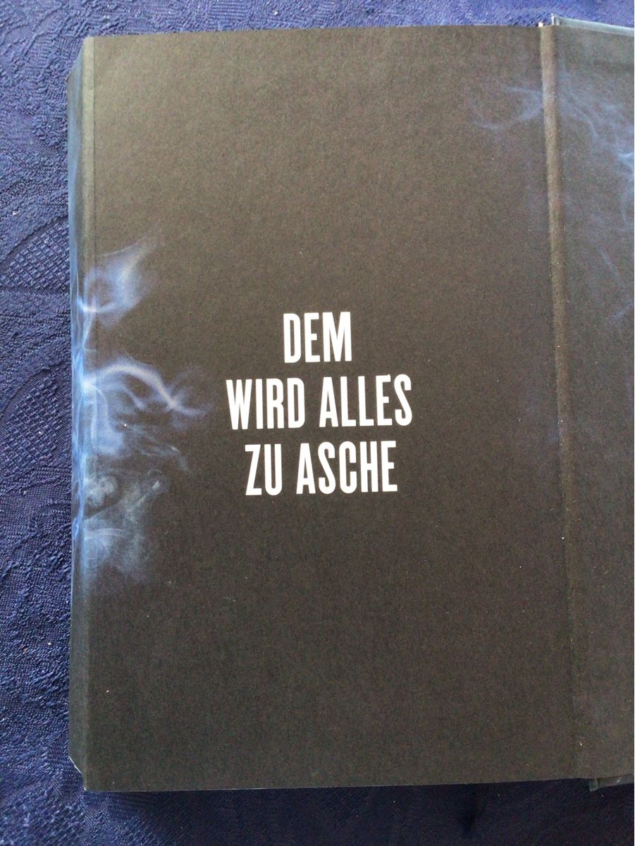Libri: Nele Neuhaus Alles wird Asche – Usato da Oftringen venduto da anbara 3