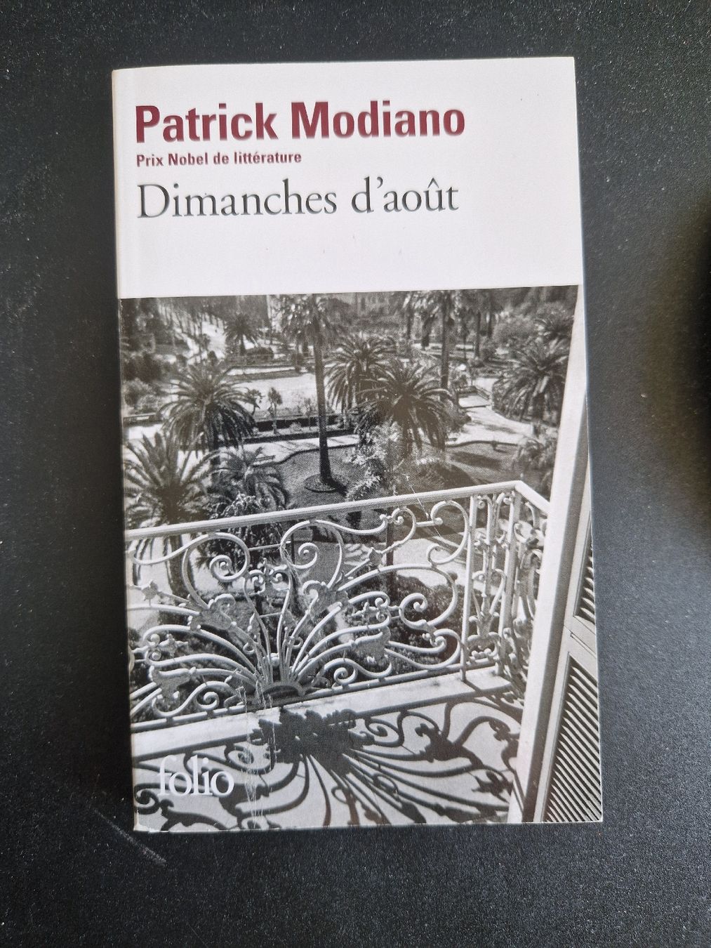 Libri: Patrick Modiano: "Dimanches d'août" – Usato da Zürich venduto da Salesmaker