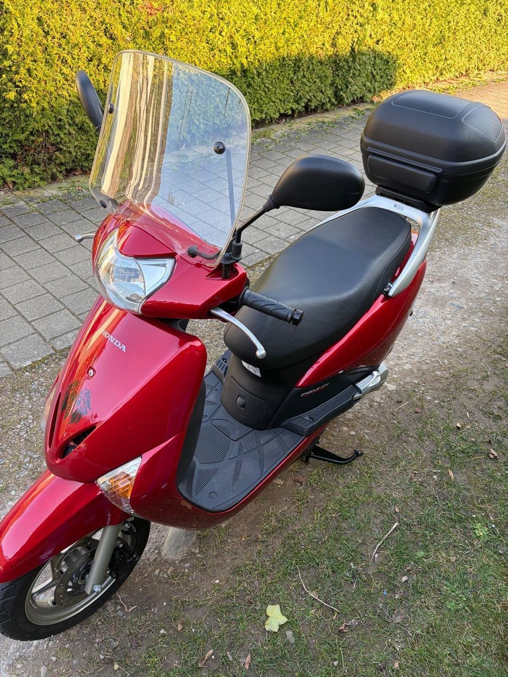 Honda Scooter: Honda Lead – Usato da Winterthur venduto da nonso 2