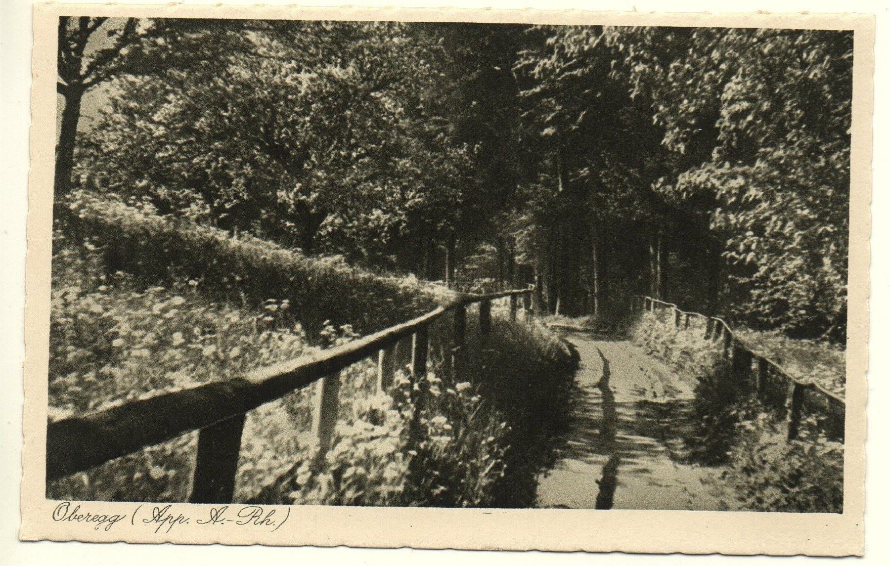 Cartes postales: OBEREGG (App.A.Rh.) – Neuf (Voir description) à Jona par philajona