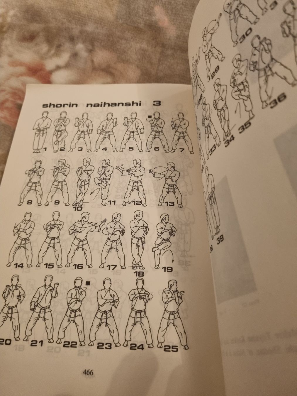 Livres: Livre Karaté-Do Katas: Techniques de base et avancées – D'occasion à Riddes par pierre-a-facettes 2