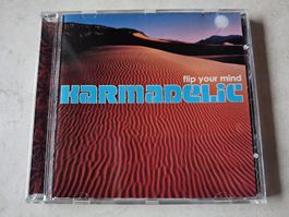 Karmadelic  -  Feel Your Mind