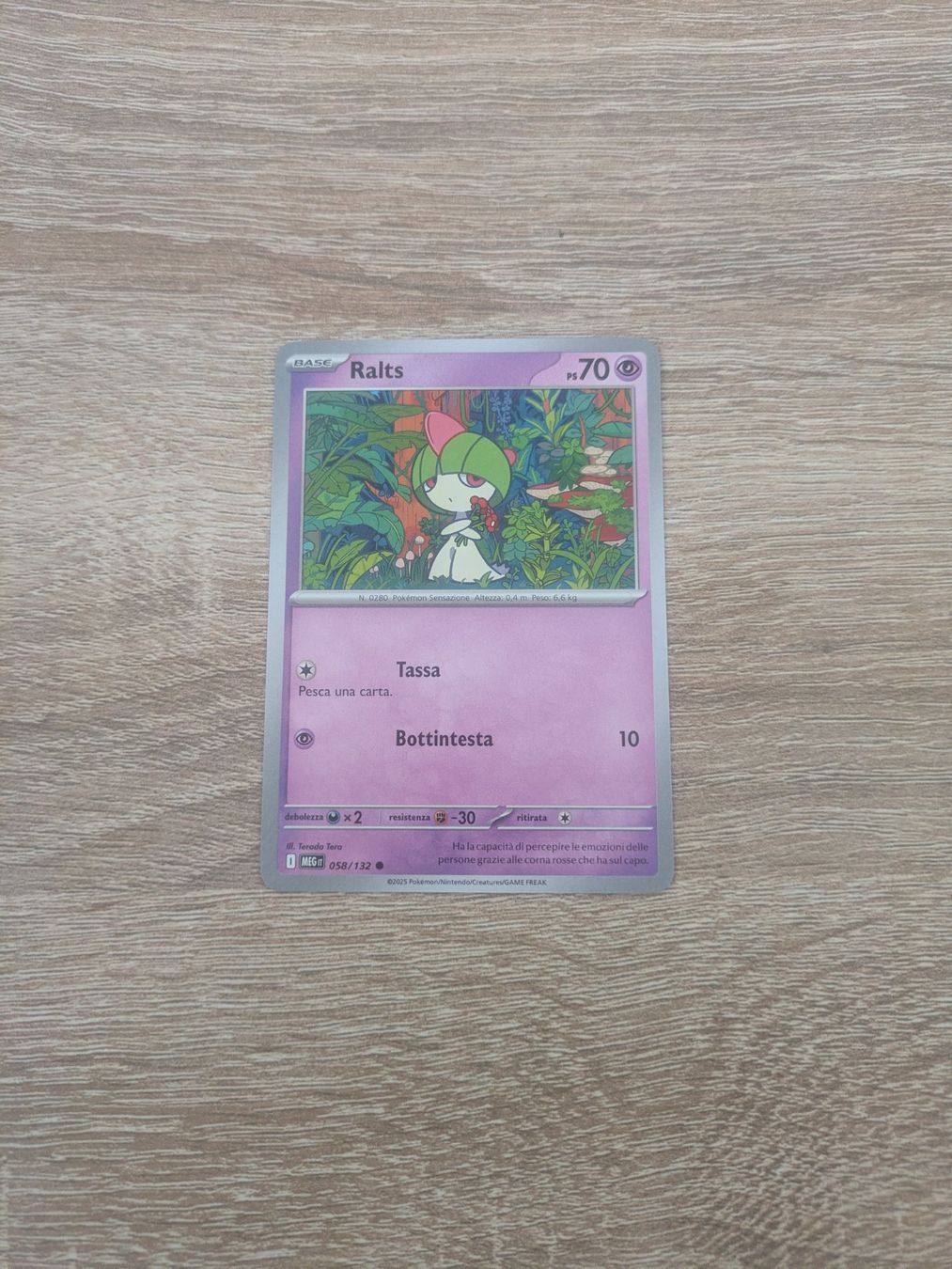 Pokémon Carte collezionabili: RALTS, MEGA EVOLUTIONS, MEG 58, COM, 2025, ITA, NM/MT – Usato da Losone venduto da AlpineLayer