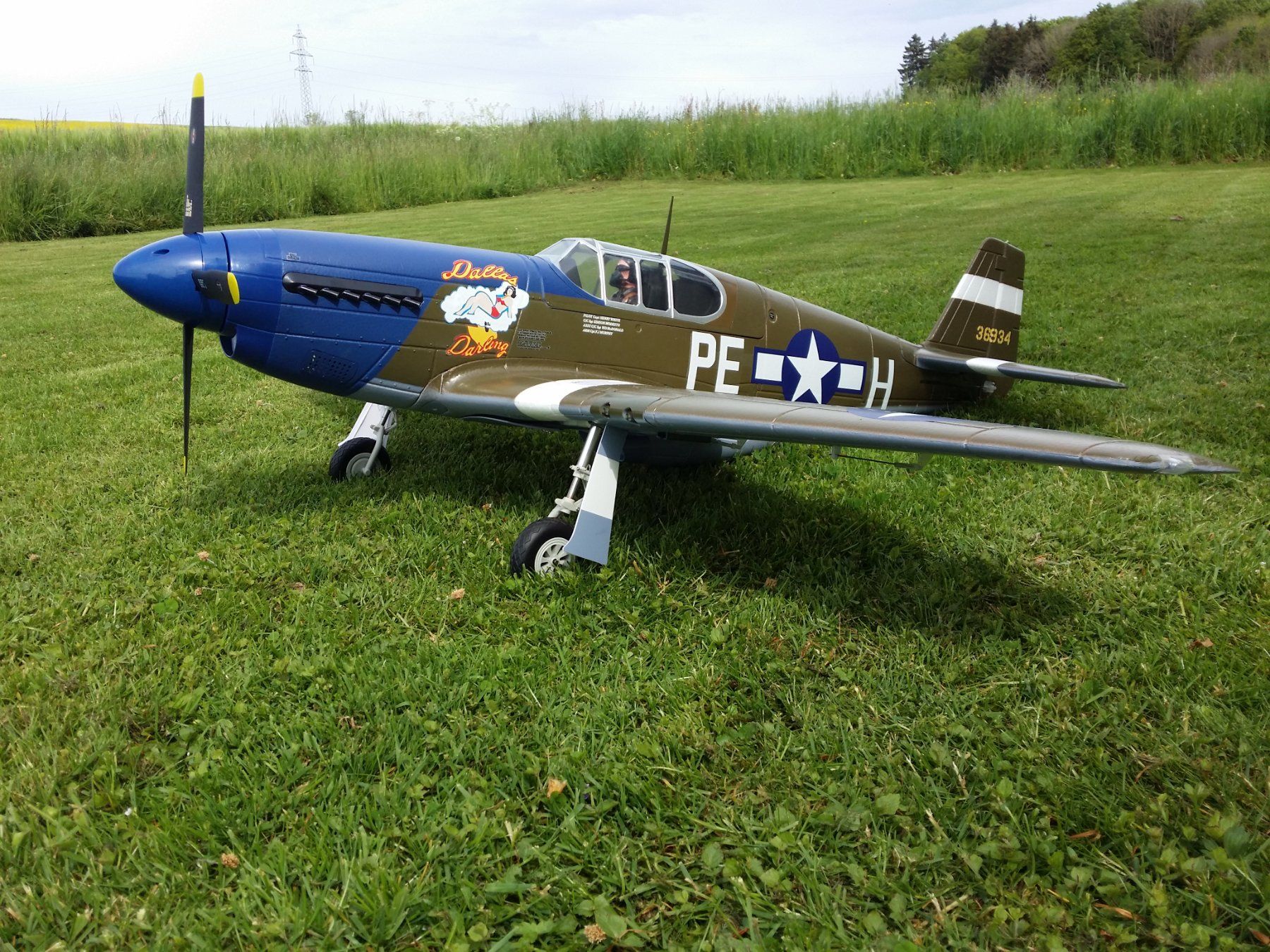 FMS RC Modellbau: Mustang FMS P 51 B – Gebraucht aus Kriechenwil von Gerywebster 3