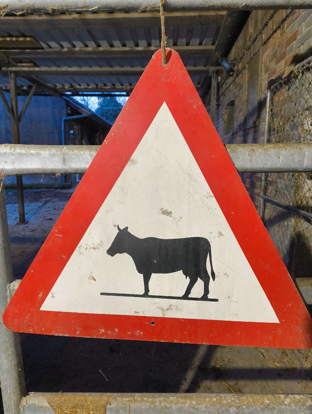 Insegne: Tierschild Vorsicht – Usato da Kirchenthurnen venduto da ueli1307 2