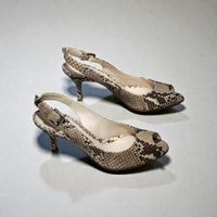NEUE Gianvito Rossi Slingback Pumps Python Gr.- 38, 38½