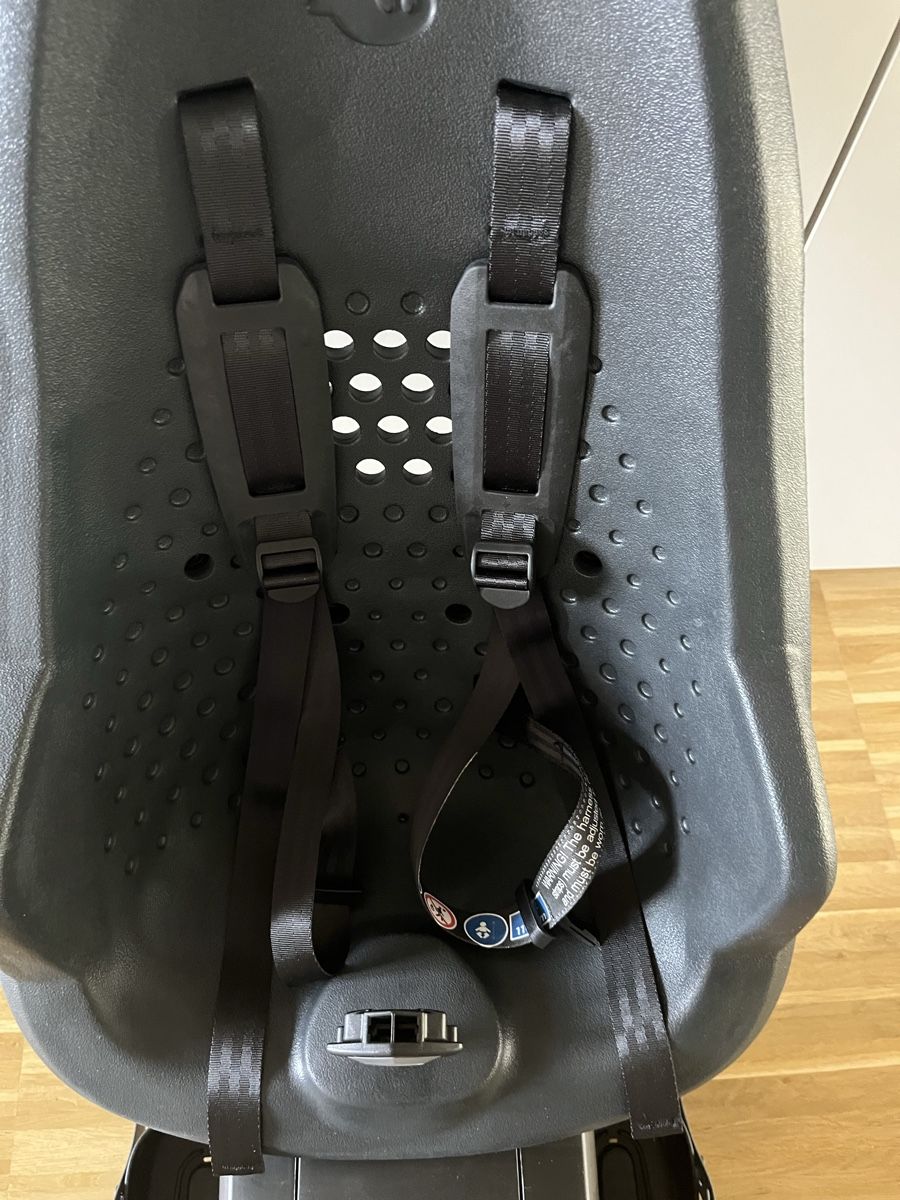 Thule Pezzi di ricambio: Fahrradsitz Thule Yepp 2 inkl. Regenhülle – Nuovo (secondo la descrizione) da Basel venduto da Rowen81 1