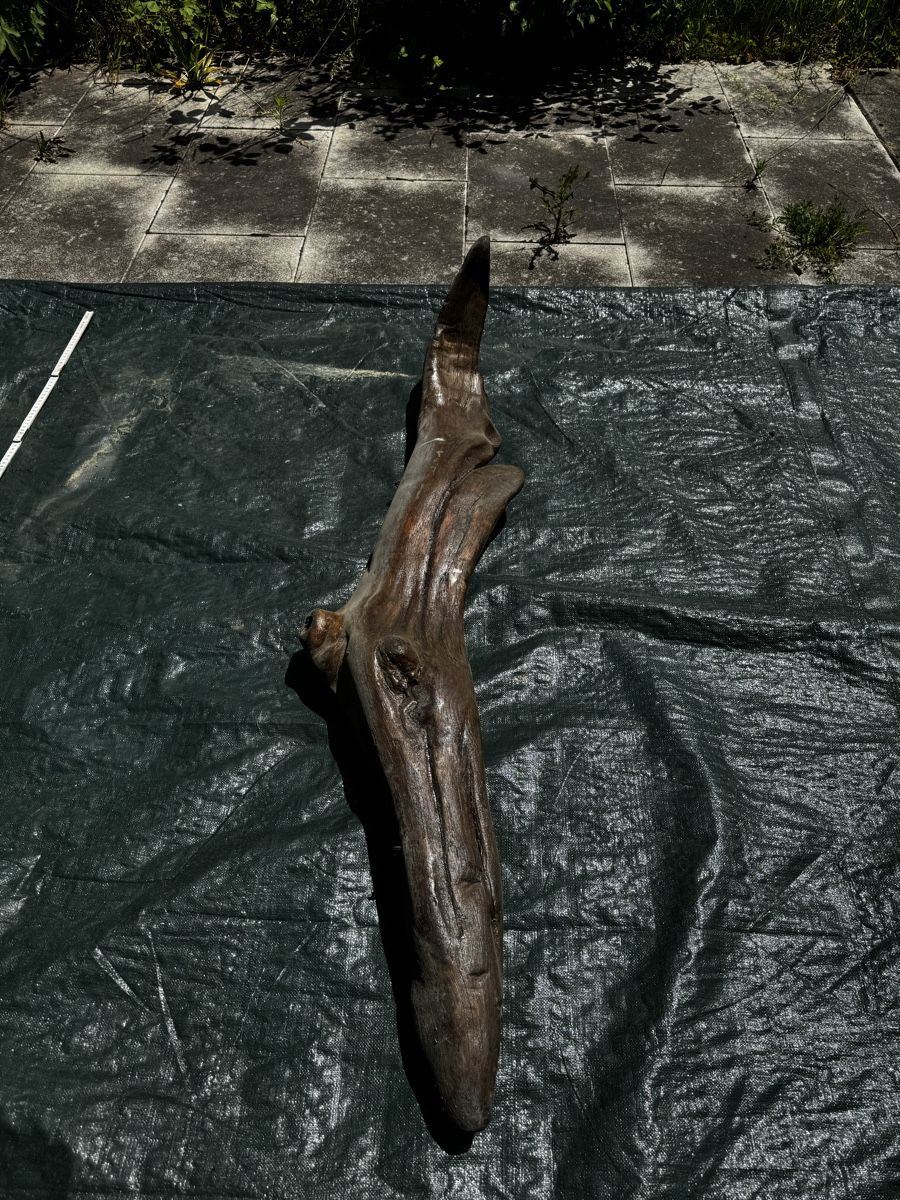 Skulpturen & Statuen: Schwemmholz Wal oder Delphin  – Gebraucht aus Gelterkinden von seb_8jzy 3