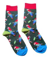 Socken Papageien / Parrots