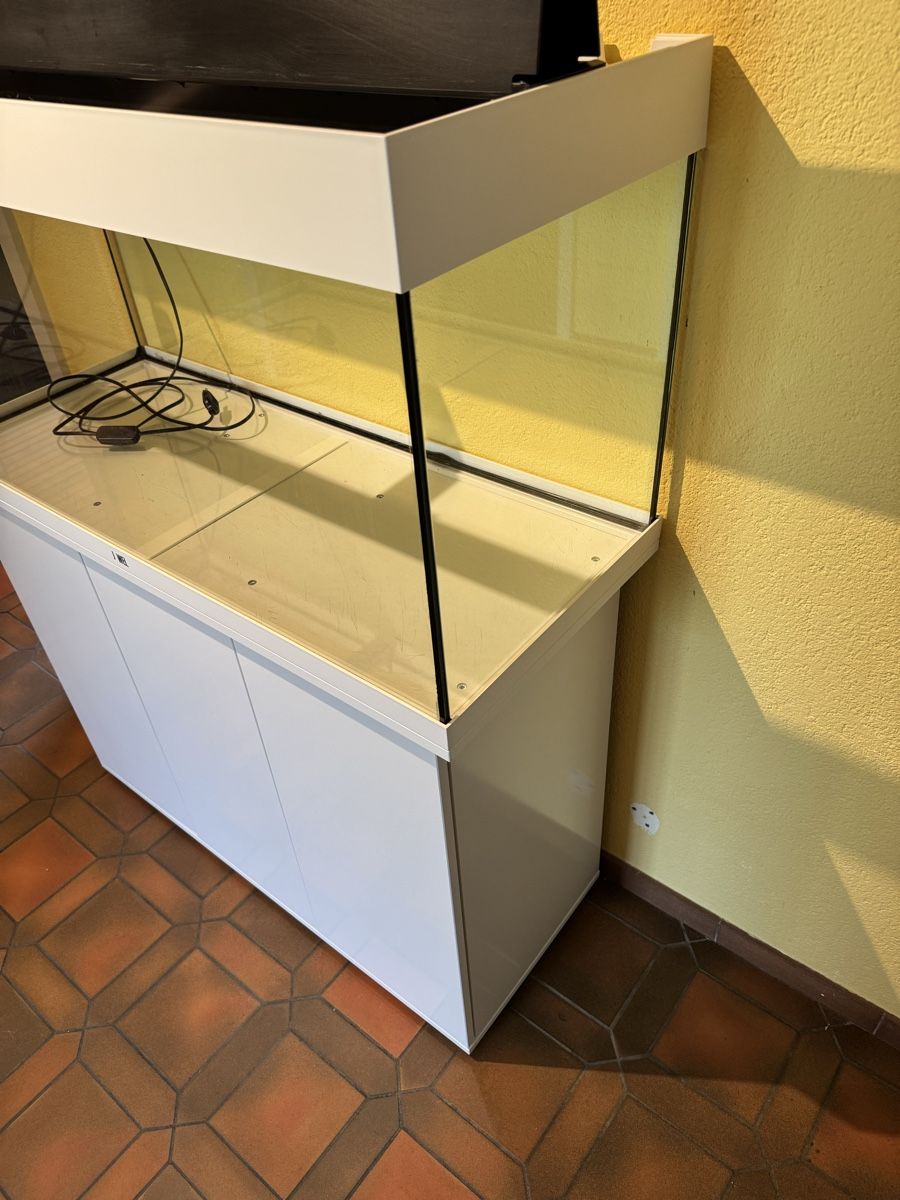 Juwel Acquari: Juwel 180 L Aquarium Weiss – Usato da Hölstein venduto da Bri4nK 4