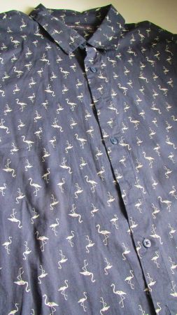 CHEMISE D'ETE ANGELO LITRICO