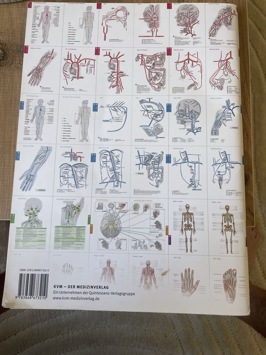 Libri: Anatomische Tafeln Anatomiebuch – Usato da Allschwil venduto da leo_52gc 1