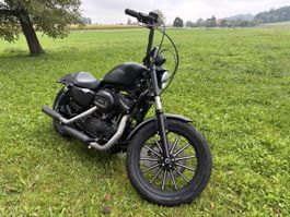 Harley Davidson Sporster Iron 883