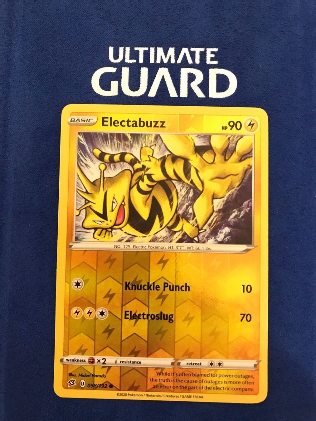 Pokémon Carte collezionabili: Pokemon TCG - Electabuzz EN reverse Holo – Nuovo (secondo la descrizione) da Lyss venduto da DeaDiLuna