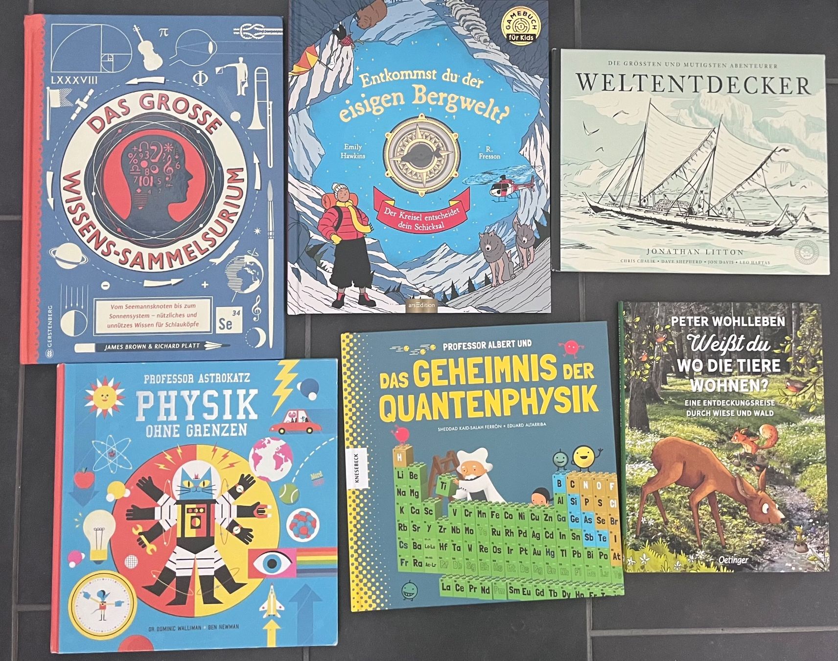 Bücher: Kinderbücher Wissens-Sammlungen – Gebraucht aus Bonstetten von Chickabee