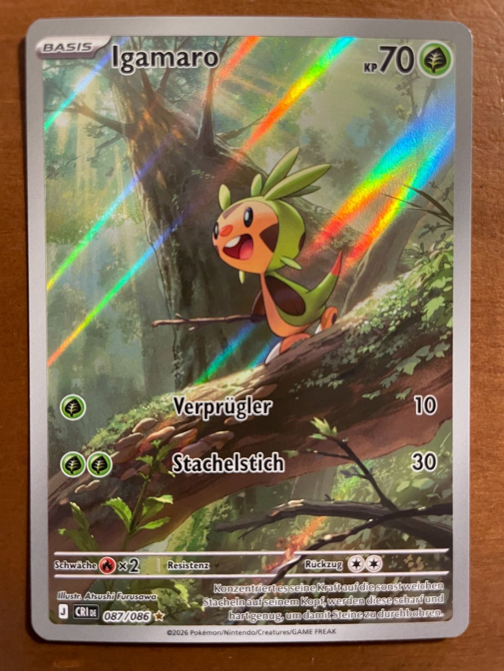 Pokémon Sammelbilder & Trading cards: Pokemon Igamaro (Versand gratis) – Neu (gemäss Beschreibung) aus Chur von Angerson