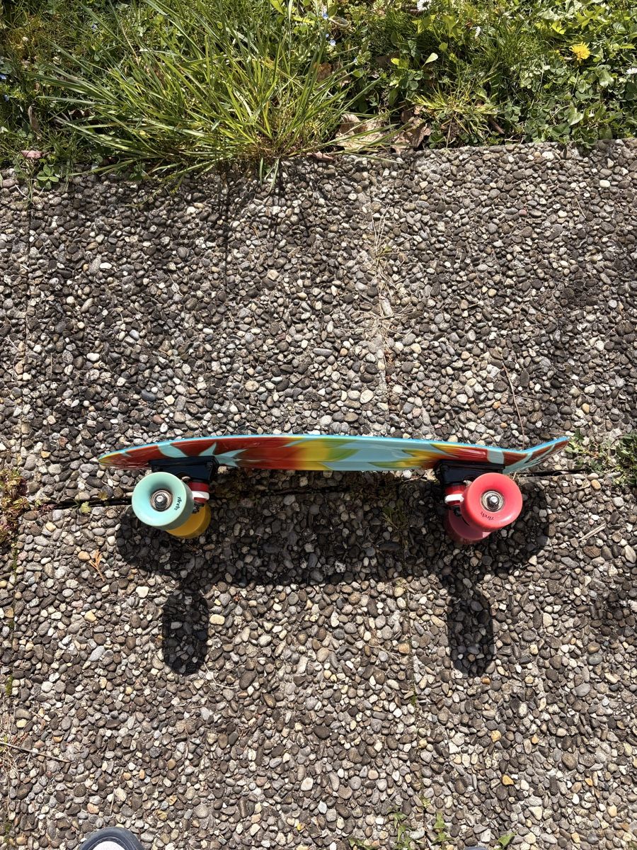 Penny Skateboards Skateboards: PENNY Classic Cruiser Board – Nuovo (secondo la descrizione) da Trimbach venduto da nto_x6dm