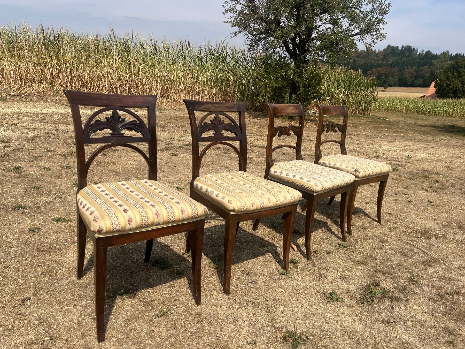 Stühle: 4 Stühle – Gebraucht aus Allmendingen b. BE von juair 6