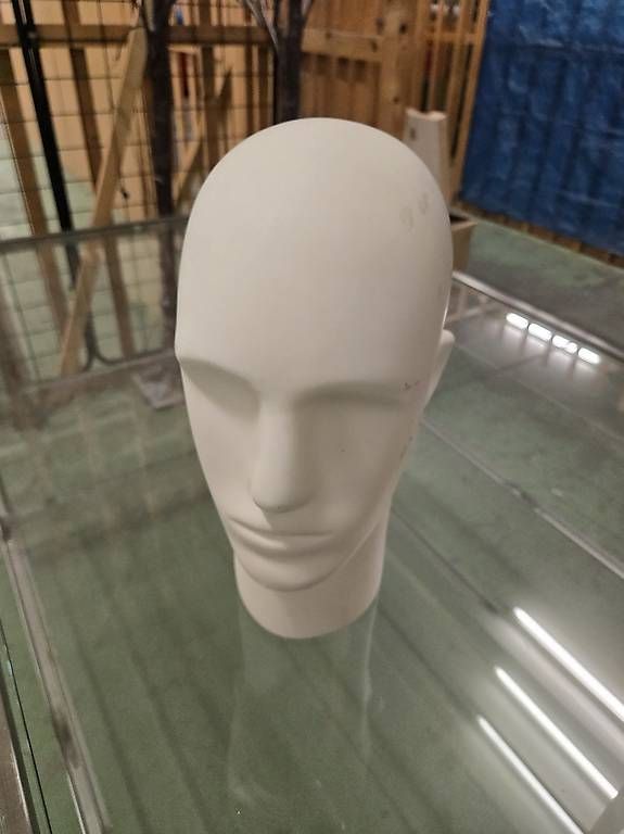 Altro in Decorazioni & Accessori: Schaufensterpuppen-Kopf – Usato da Thunstetten venduto da gregios1 1