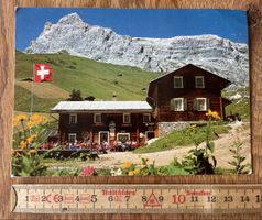 Postkarte Alpenrösli Partnun Sulzfluh 1970er Jahre guter Zus