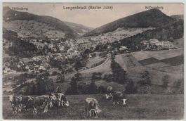 BL 74 Langenbruck Kühe